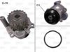 VW 3812101011 Water Pump